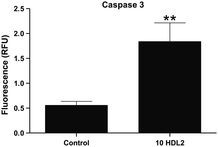 Figure 6