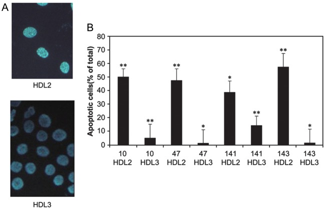 Figure 5