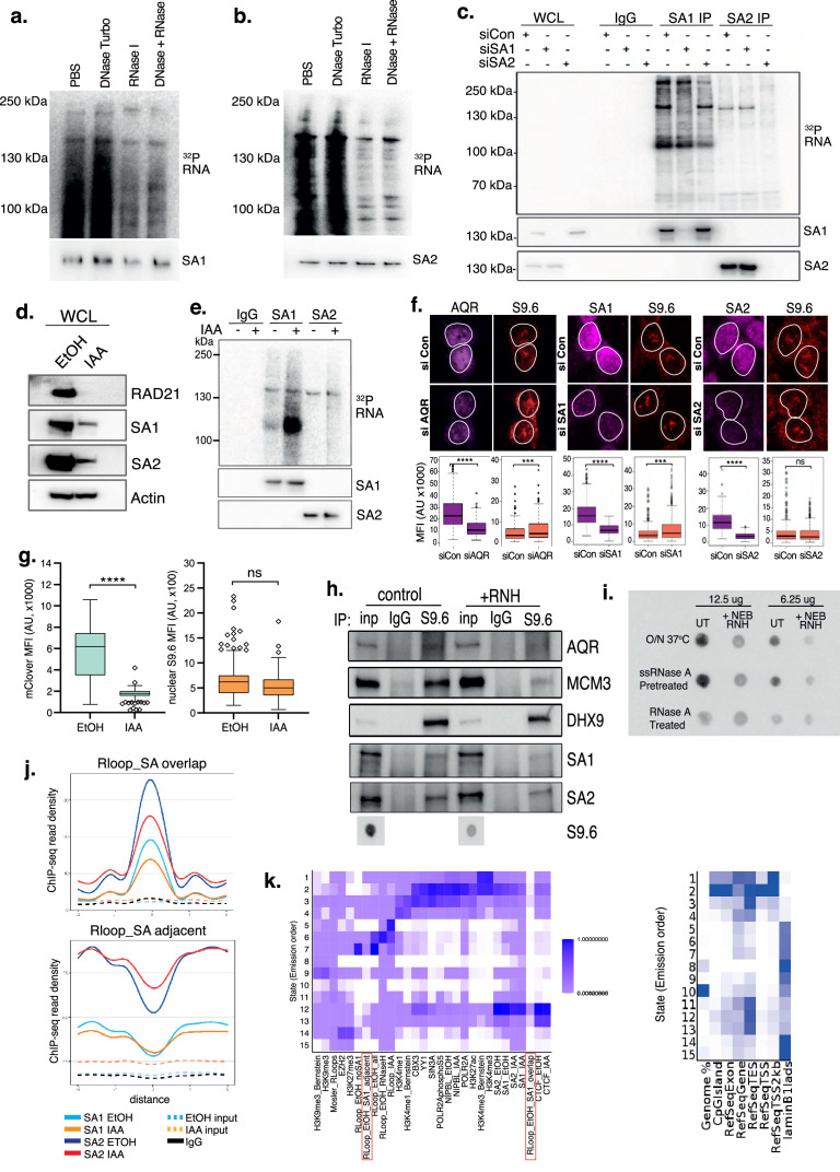 Figure 3—figure supplement 1.