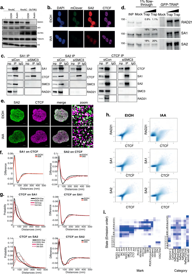 Figure 1—figure supplement 1.