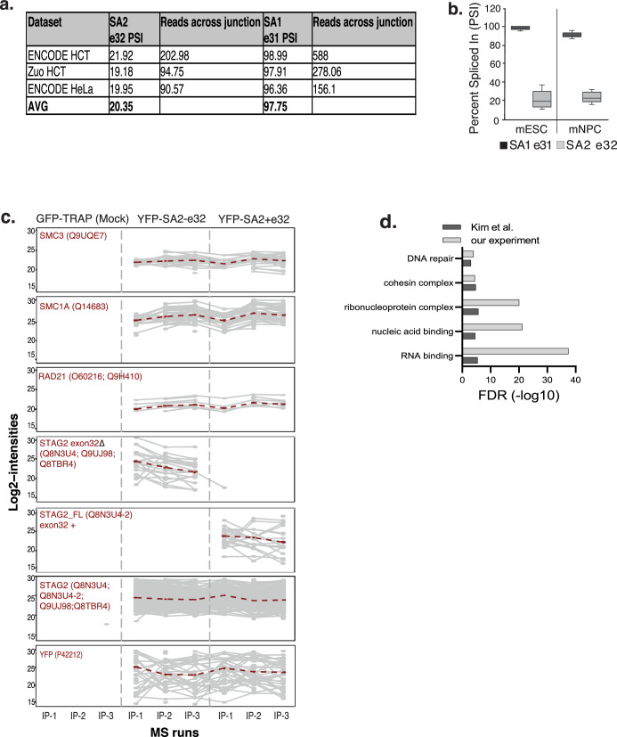 Figure 5—figure supplement 1.