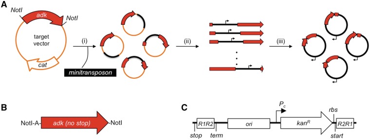 Figure 1.