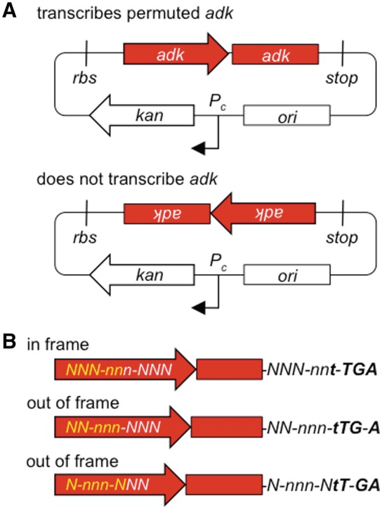 Figure 2.