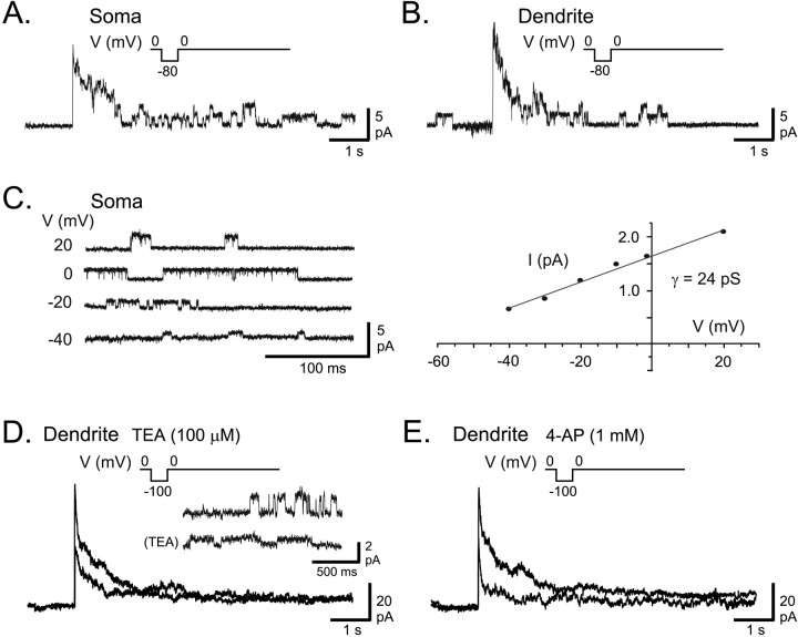 Fig. 1.