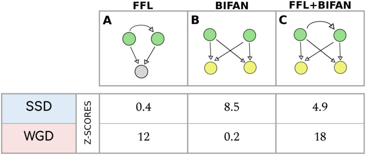 Fig 9