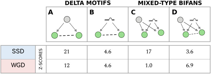 Fig 10