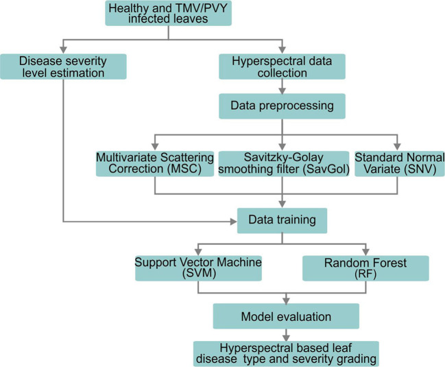 Figure 2