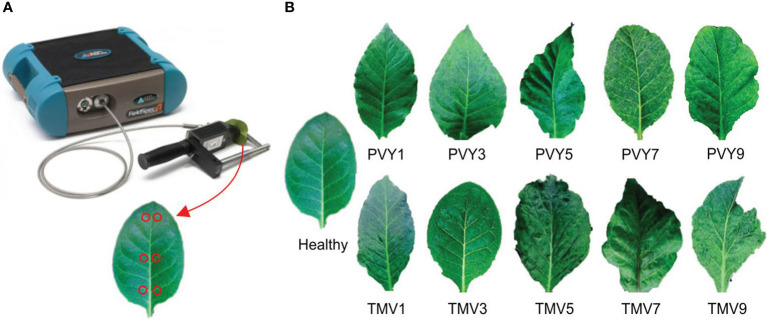 Figure 1