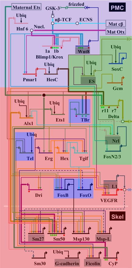 Fig. 3.