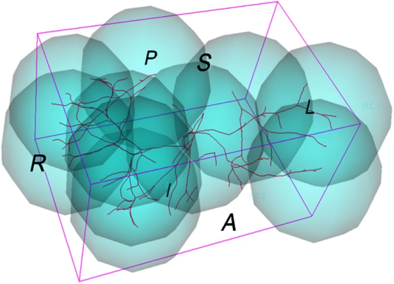 Fig. 6