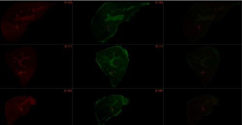 Fig. 10