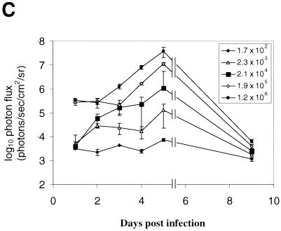 FIG. 3.