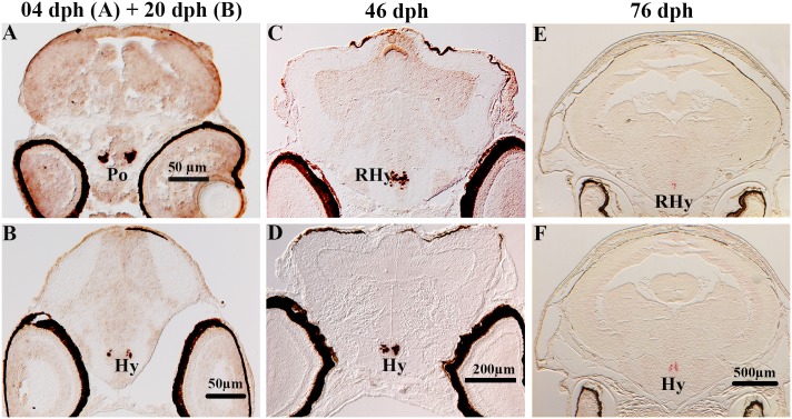 Fig 8