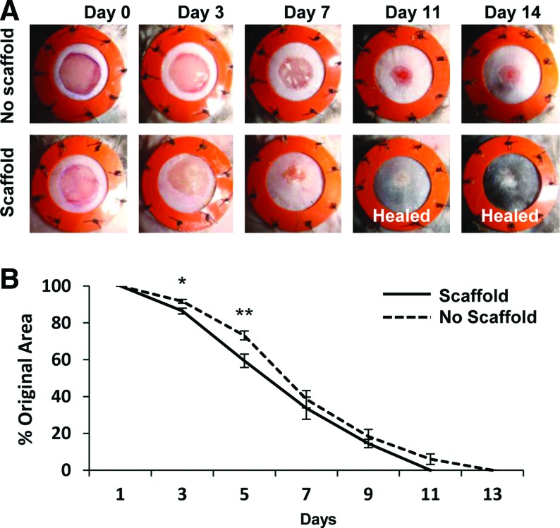 FIG. 7.