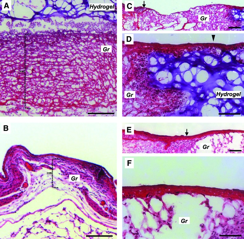 FIG. 8.