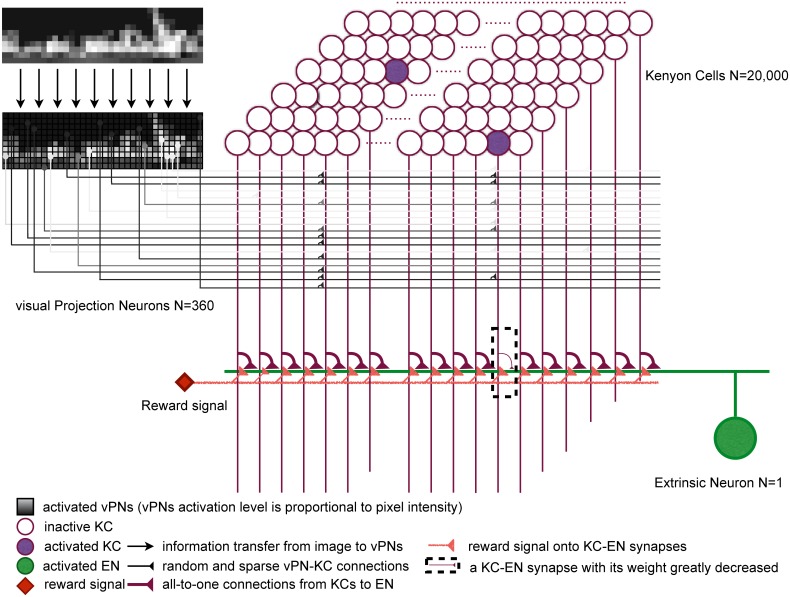 Fig 2