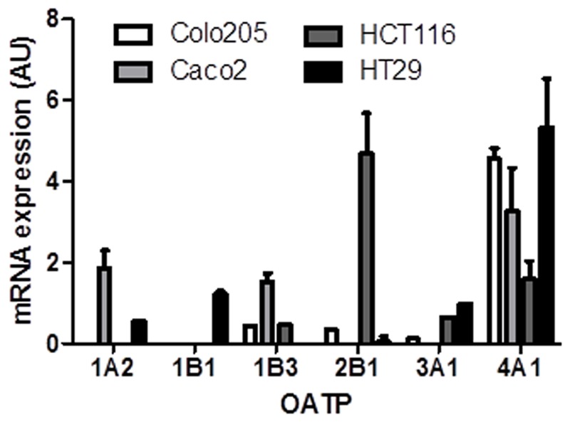 FIGURE 3