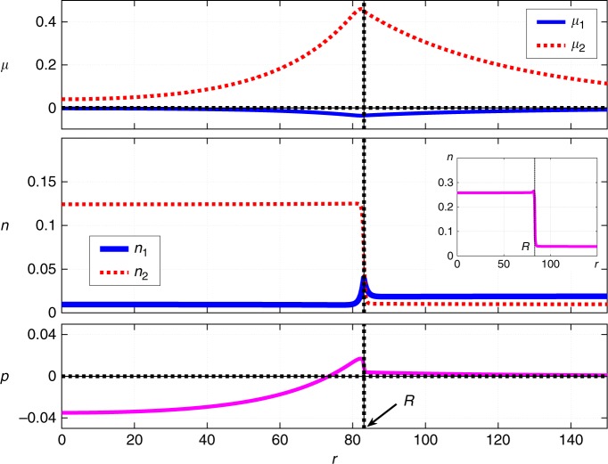 Fig. 3