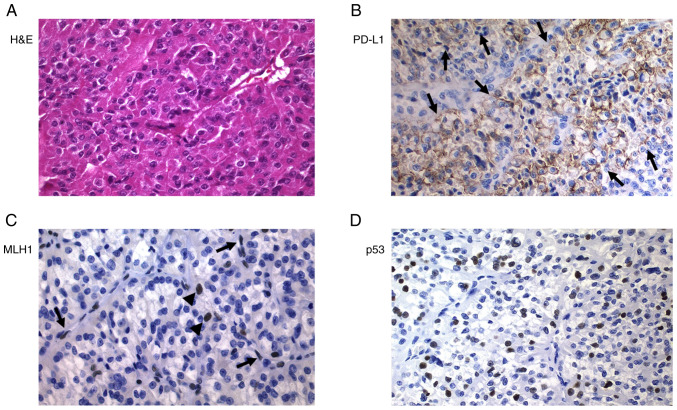 Figure 3.