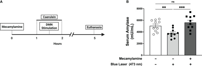 Figure 5