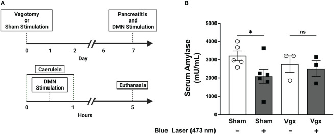 Figure 4