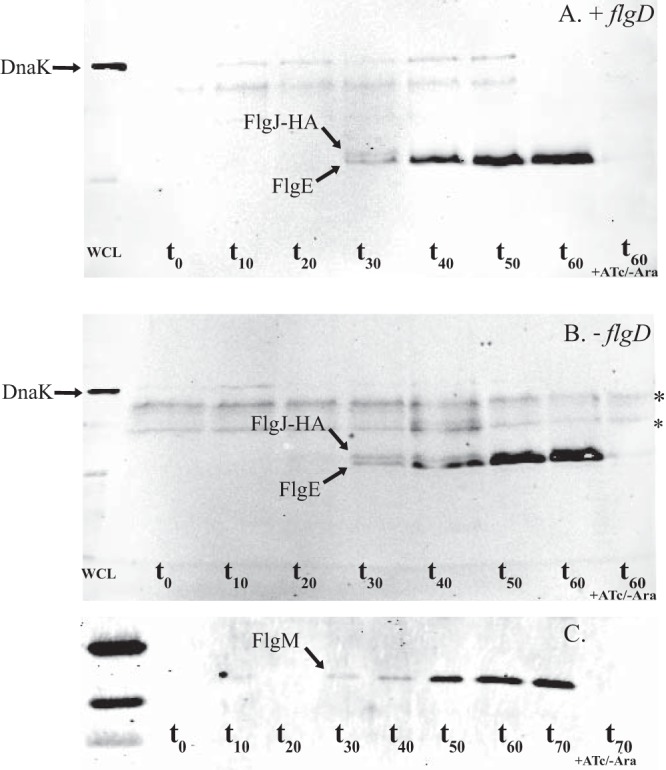 FIG 7