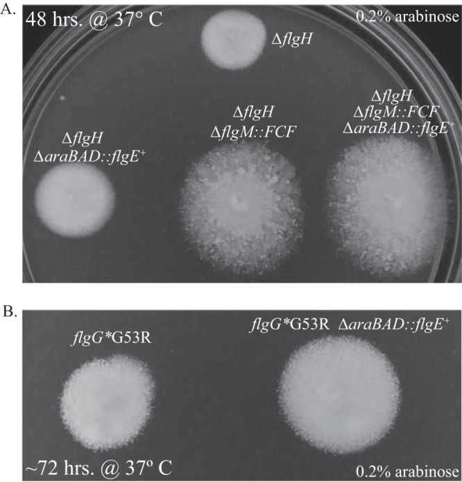 FIG 4