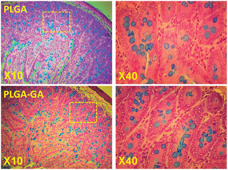 Figure 6.