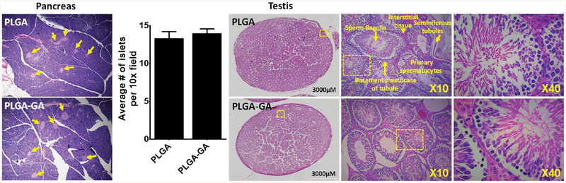 Figure 10.