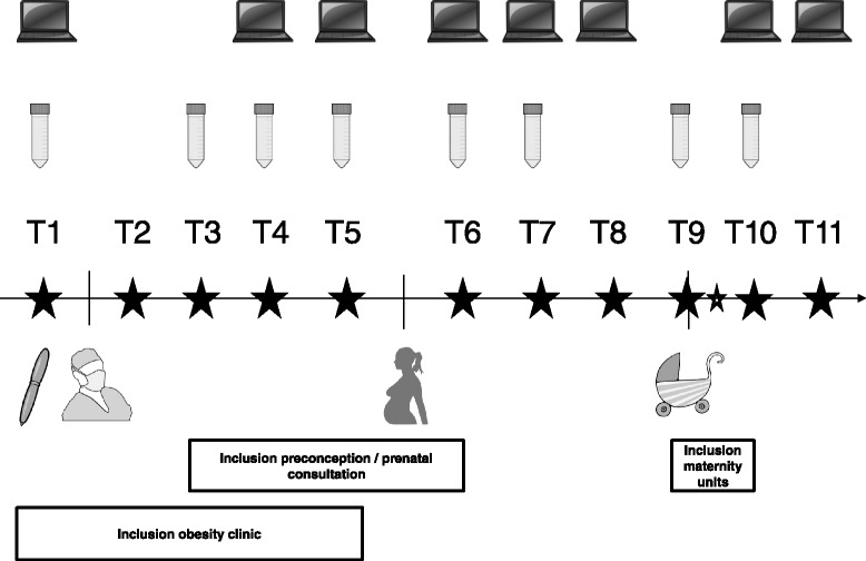 Fig. 2