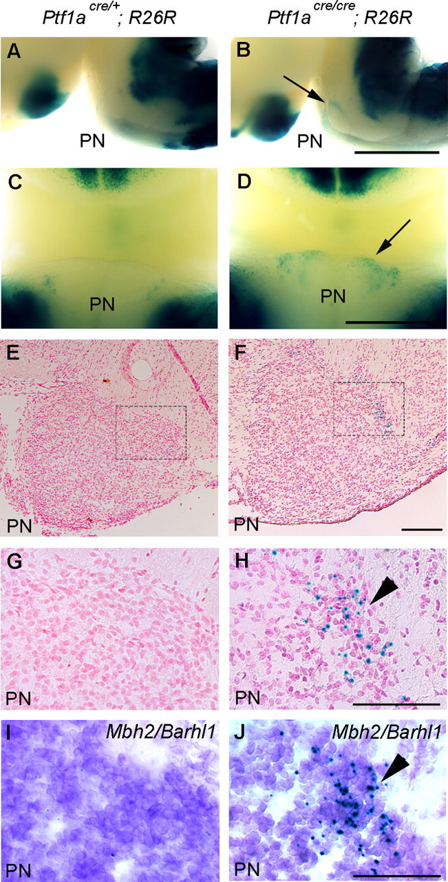 Figure 7.