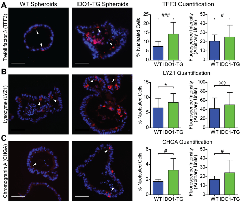 Figure 4: