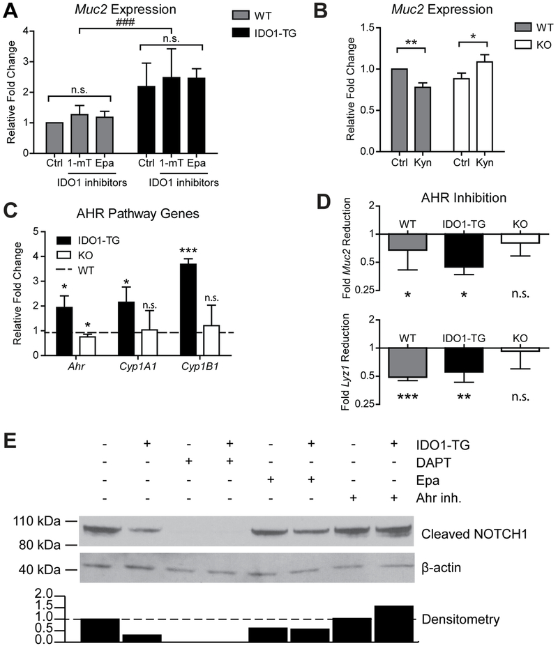 Figure 5: