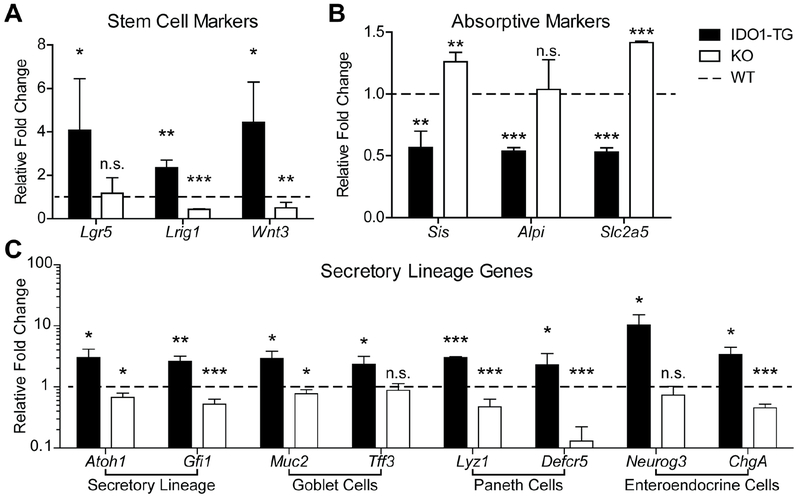 Figure 3: