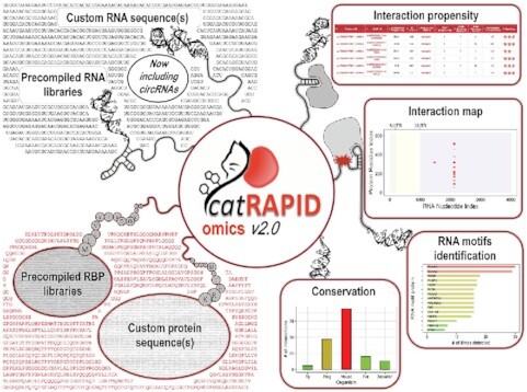 Graphical Abstract