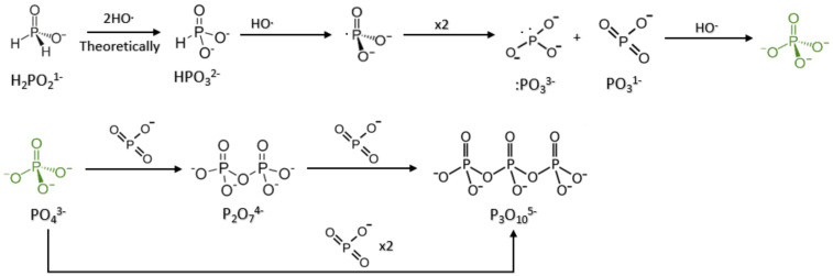 Scheme 2