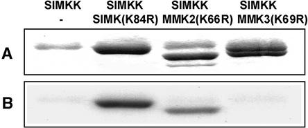 Figure 5.