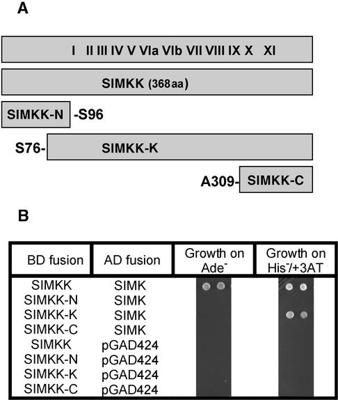 Figure 3.