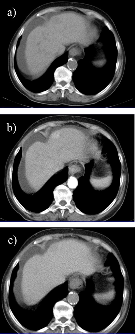 Fig. 5