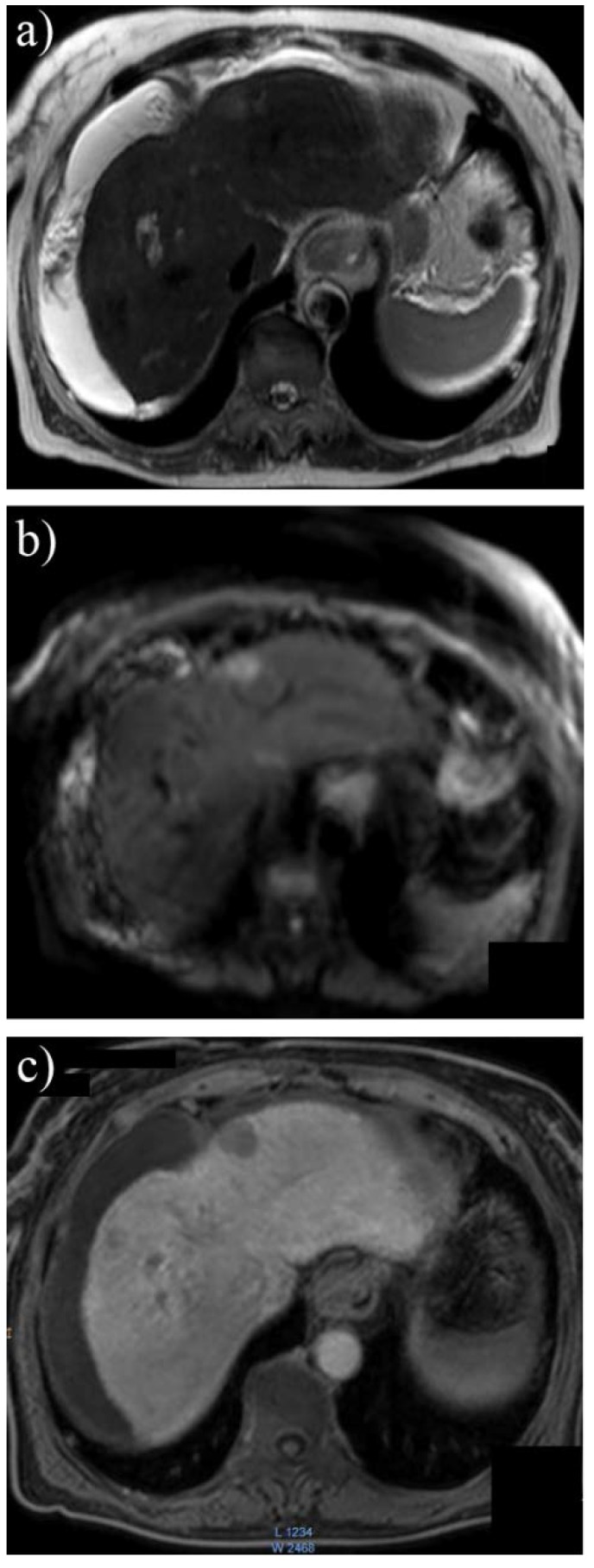 Fig. 7