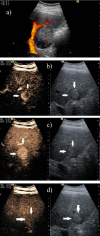 Fig. 2