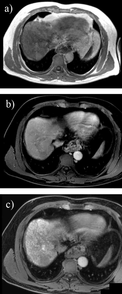 Fig. 8