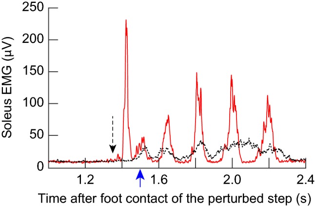 Fig. 7