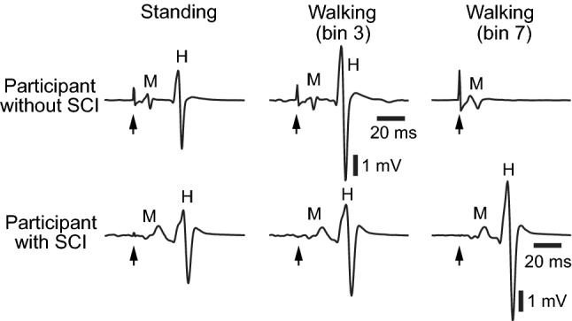 Fig. 2