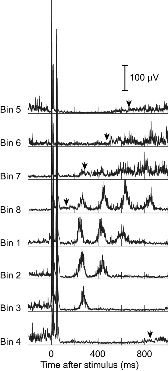 Fig. 8