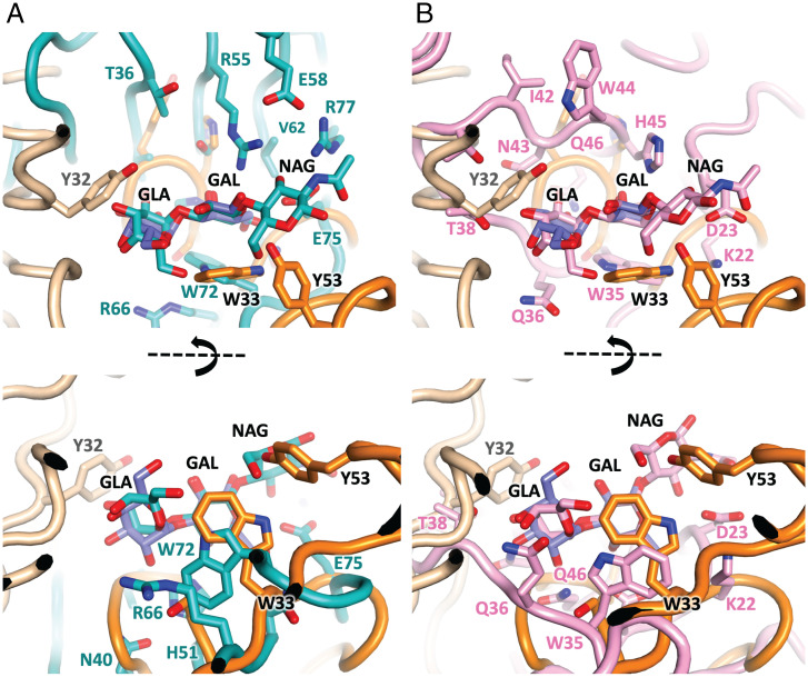 Fig. 6.