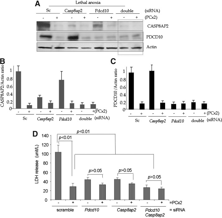 FIG. 7.