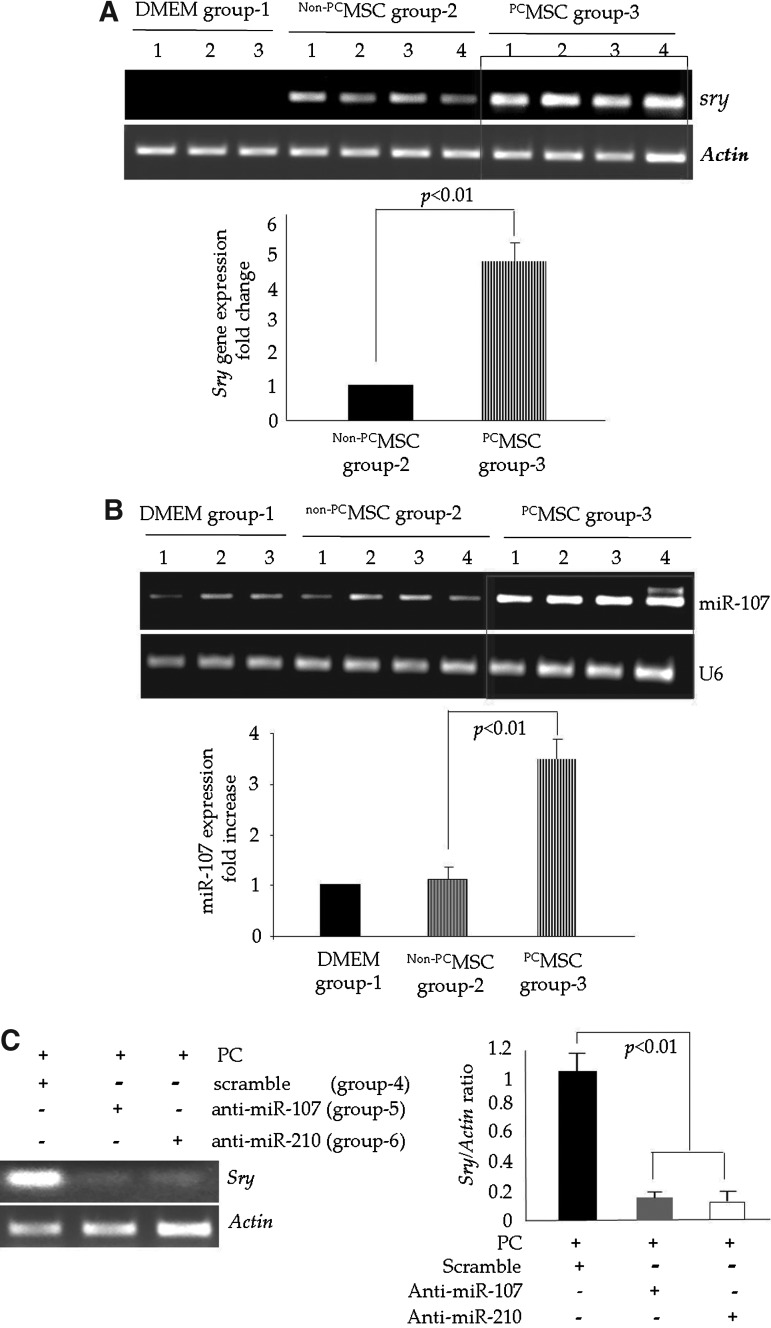 FIG. 8.