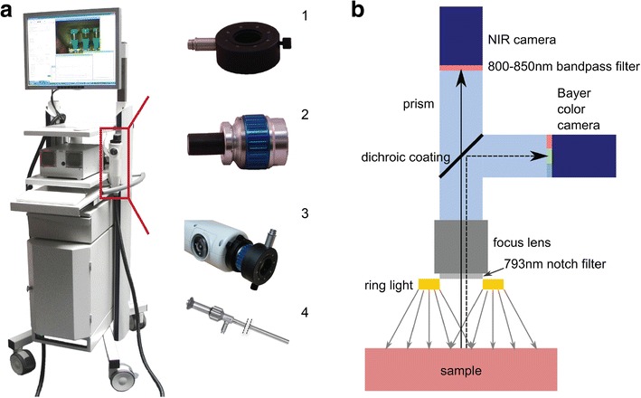 Fig. 1