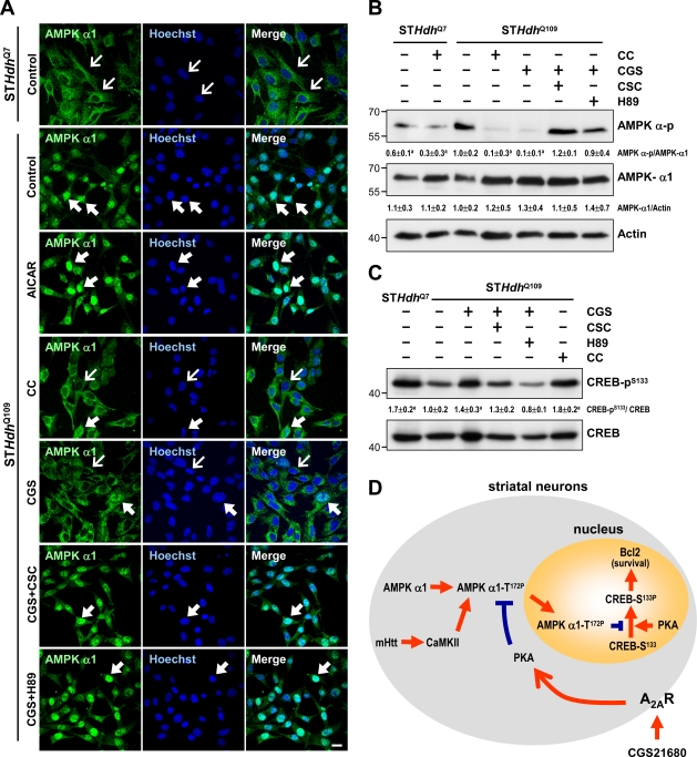 Figure 10.